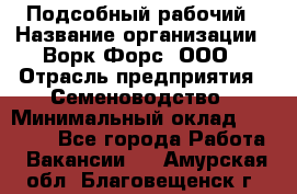 Подсобный рабочий › Название организации ­ Ворк Форс, ООО › Отрасль предприятия ­ Семеноводство › Минимальный оклад ­ 30 000 - Все города Работа » Вакансии   . Амурская обл.,Благовещенск г.